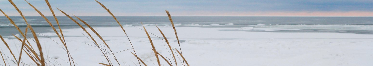 Danish winter